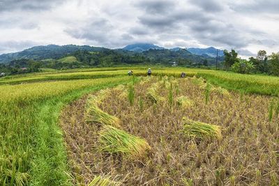 Bản Bướt chuyển mình từ nông nghiệp sạch và du lịch cộng đồng