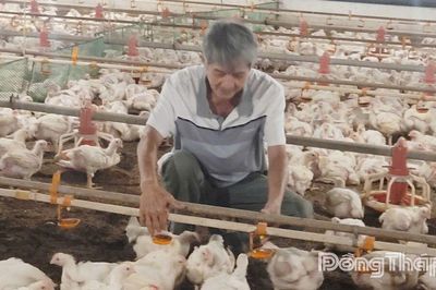 Đồng Tháp: Phát triển chăn nuôi theo hướng bền vững