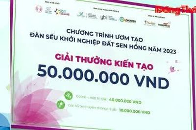 Đồng Tháp: Kết quả hành trình ươm tạo đàn sếu khởi nghiệp