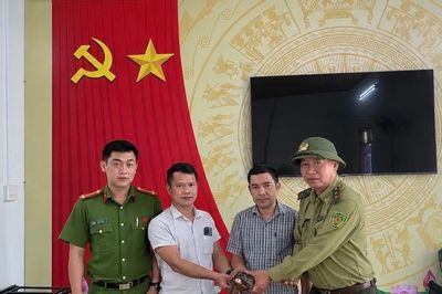 Người dân xã Kim Sơn tự nguyện giao nộp cá thể rùa núi vàng quý hiếm
