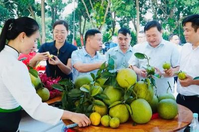 Sôi nổi không gian “Hoa trái bốn mùa - Trải nghiệm và kết nối” tại Công viên Mường Lò