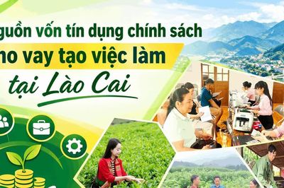 Nguồn vốn tín dụng chính sách cho vay tạo việc làm tại Lào Cai
