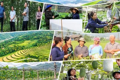 Bát Xát đẩy mạnh phát triển kinh tế gắn với giảm nghèo bền vững