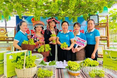 Phụ nữ Đất Tổ bản lĩnh, sáng tạo, làm chủ công nghệ