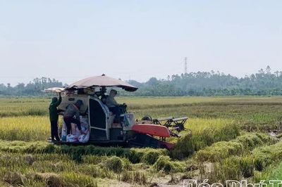 Yên Kỳ thúc đẩy sản xuất vụ Đông