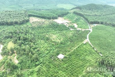 Phát triển nông nghiệp bền vững