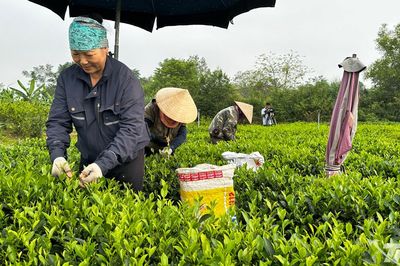 Tân Cương nhân rộng những xóm không còn hộ nghèo