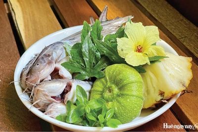Mùa cá ngát về bờ