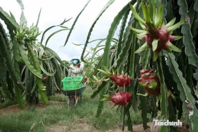 Thủ tướng Chính phủ biểu dương Bộ Tài chính đã khẩn trương hoàn thiện cơ chế thực hiện Chương trình mục tiêu quốc gia