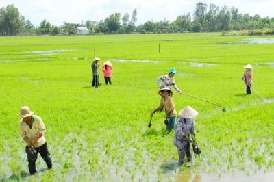 Kinh tế tuần hoàn tại HTX: Nâng tầm thương hiệu và giảm nghèo bền vững