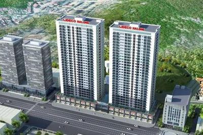 Phó Chủ tịch Lideco (NTL) chi đậm gom cổ phiếu, lợi nhuận bán niên tăng vọt 170%
