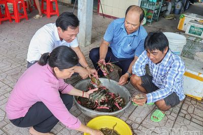 Ứng dụng công nghệ vi sinh trong mô hình nuôi tôm sú kết hợp cua ít thay nước