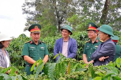 Phát triển kinh tế tuần hoàn hướng tới sản xuất cà phê hữu cơ bền vững