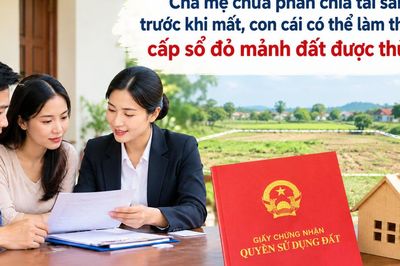 Cha mẹ chưa phân chia tài sản trước khi mất, con cái có thể làm thủ tục cấp sổ đỏ lần đầu cho mảnh đất được thừa kế?
