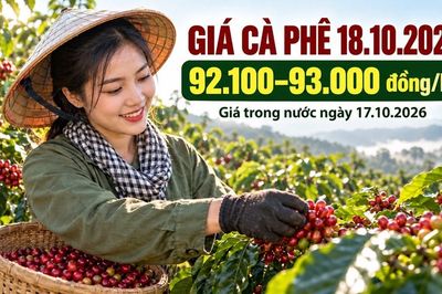 Giá cà phê hôm nay 18.10.2026: Robusta và Arabica cùng hỗ trợ