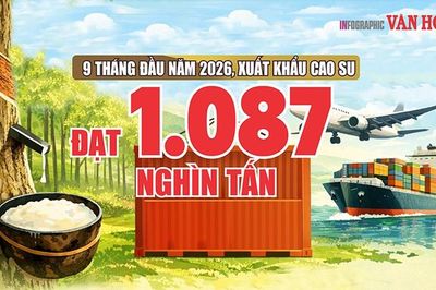 Cao su Việt Nam thu gần 2,2 tỉ USD, Trung Quốc chiếm gần 59%