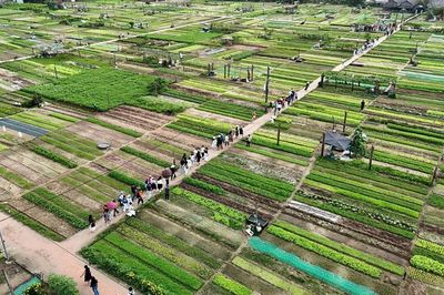 Đà Nẵng:Xây dựng thôn nông thôn mới gắn với văn hóa, môi trường và chuyển đổi số