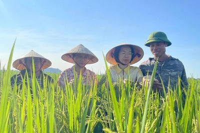 Canh tác lúa giảm phát thải ở Thanh Hóa