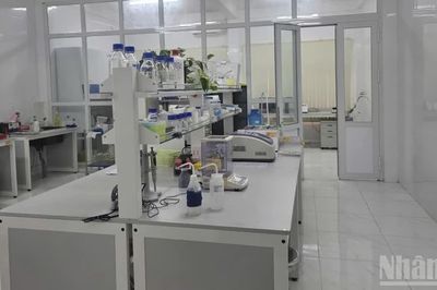 Thành lập đoàn kiểm tra Trung tâm Ứng dụng khoa học và công nghệ tỉnh Quảng Ngãi