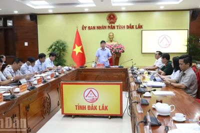 Đắk Lắk chủ động các biện pháp phòng, chống hạn trong mùa khô