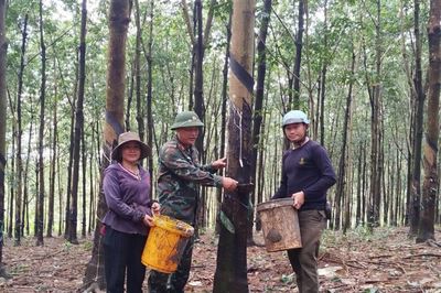 Đoàn Kinh tế - Quốc phòng 720 (Binh đoàn 16): Đưa pháp luật đến với người lao động vùng sâu