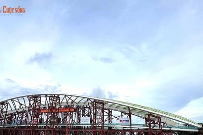 Hải trình đưa 'lá dừa nước' khổng lồ vượt 124 km về trung tâm TP HCM