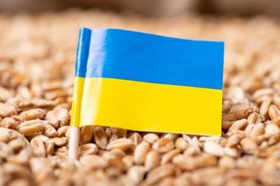 Hungary nhất trí khôi phục quan hệ với Ukraine, sẵn sàng cho ngũ cốc Kiev quá cảnh