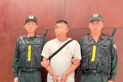 Lập xưởng, 'phù phép' 29 tấn táo lậu mạo danh thương hiệu 'Hằng Du Mục'
