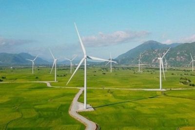 Quảng Trị tìm nhà đầu tư cho dự án điện gió hơn 8.500 tỷ đồng