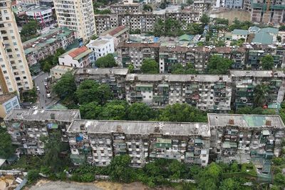 Chung cư gần 50 năm tuổi ở Nghệ An trơ cốt thép, rễ cây bám kín tường