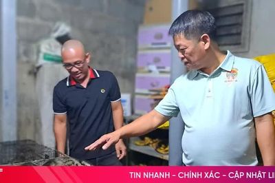 Nuôi chồn hương mở hướng đi mới ở Nghi Xuân
