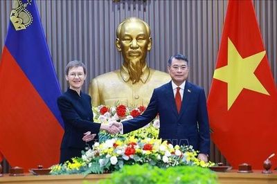 Thủ tướng Lê Minh Hưng và Thủ tướng Liechtenstein Brigitte Haas hội đàm