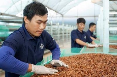 Thương hiệu quốc gia: 'Bệ phóng' cho hàng Việt vươn xa
