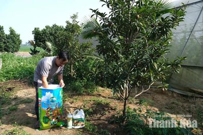 Phụ phẩm nông nghiệp: Từ thứ bỏ đi thành sản phẩm hàng hóa
