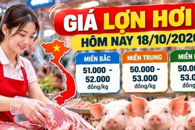 Giá lợn hơi hôm nay 18/10/2026: Thấp nhất 50.000 đồng/kg