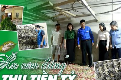 “Ăn cơm đứng” thu tiền tỷ