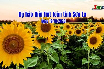Dự báo thời tiết toàn tỉnh Sơn La ngày 19/10/2026