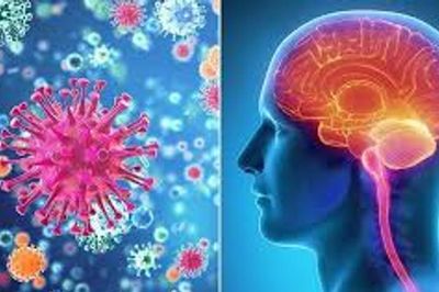 TP. Hồ Chí Minh: Ca nhiễm não mô cầu tăng, nhiều học sinh dương tính cúm mùa