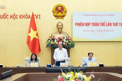 Thường trực Ủy ban Pháp luật và Tư pháp thẩm tra dự án Luật Nhà ở (sửa đổi)