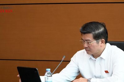 Đổi mới mô hình tăng trưởng, phát huy lợi thế năng lượng xanh