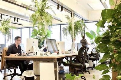 Thị trường văn phòng Hà Nội, TP.HCM chịu áp lực nguồn cung, doanh nghiệp thận trọng thuê mới