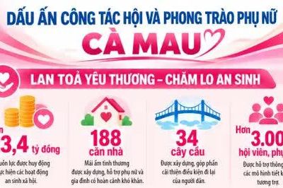 Dấu ấn công tác Hội và phong trào phụ nữ Cà Mau