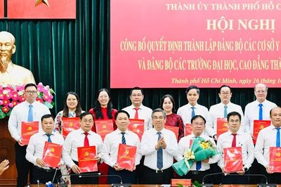 TPHCM thành lập Đảng bộ các cơ sở y tế, chỉ định nhân sự chủ chốt