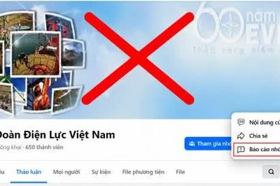 Lại xuất hiện nhóm giả mạo EVN trên Facebook