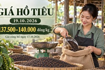 Giá hồ tiêu hôm nay 19.10.2026: Nguồn cung quốc tế tác động ra sao?