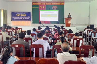 ĐBSCL khẩn cấp phòng, chống bệnh dịch tả heo châu Phi đang lan rộng