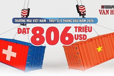 Việt Nam nhập siêu 518,6 triệu USD từ Thụy Sĩ sau 9 tháng