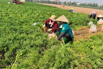 Nâng cao hiệu quả công tác giải quyết đơn thư, khiếu nại, tố cáo của công dân