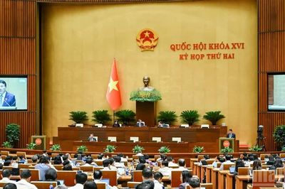 Quốc hội thảo luận dự án Bộ luật Hình sự (sửa đổi)
