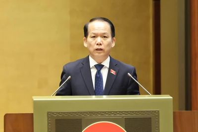 Cấm tham gia đấu giá quyền sử dụng đất ở đối với cá nhân trúng đấu giá nhưng 'bỏ cọc'